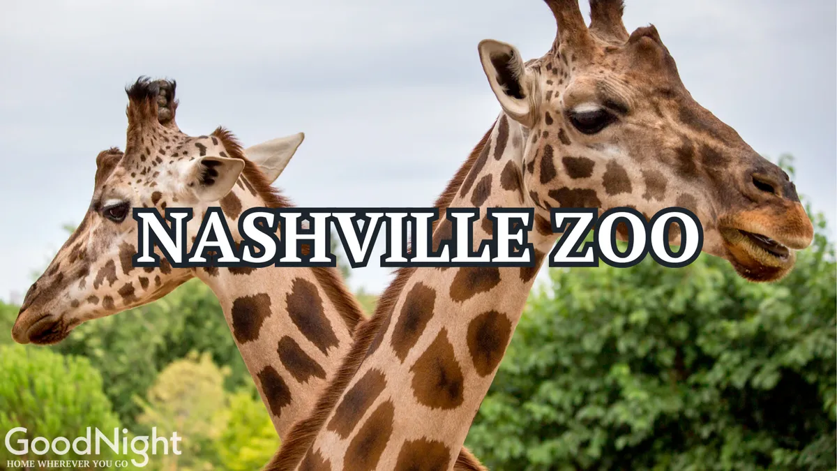An outdoor scene at the Nashville Zoo shows giraffes amid vibrant, lush greenery. Families and children are visible, highlighting the joy and curiosity of animal watching and educational family outings.